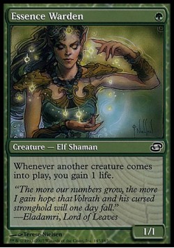 Essence Warden
