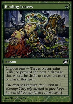 Healing Leaves