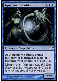 Aquamorph Entity