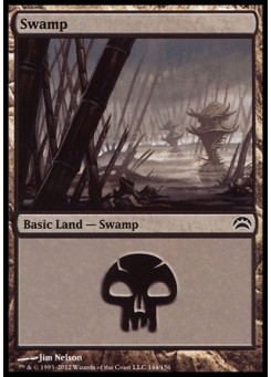 Swamp