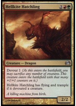 Hellkite Hatchling