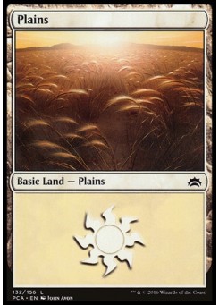 Plains