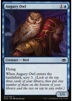 Augury Owl