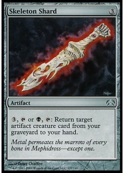 Skeleton Shard