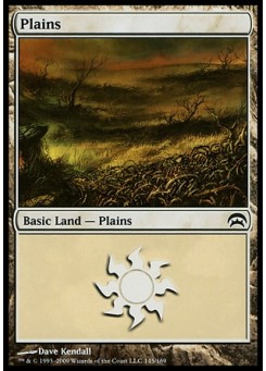 Plains