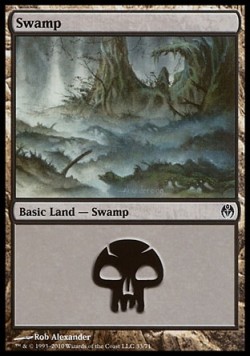 Swamp