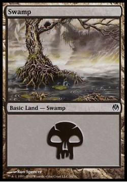 Swamp