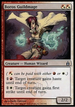 Маг гильдии Боросов