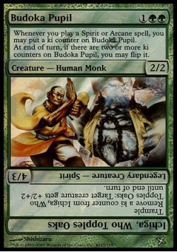 Budoka Pupil