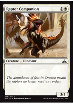Raptor Companion