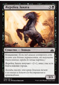 Жеребец Заката