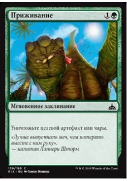 Приживание