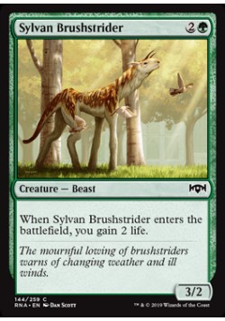 Sylvan Brushstrider