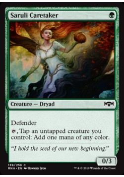 Saruli Caretaker