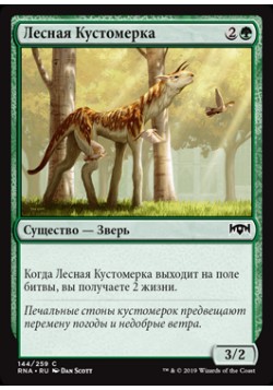 Лесная Кустомерка