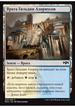 Врата Гильдии Азориусов (243)