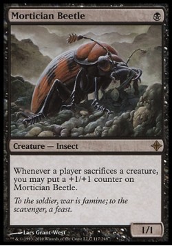 Mortician Beetle
