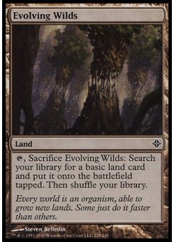 Evolving Wilds