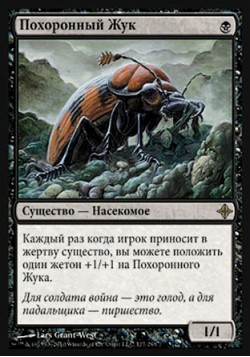 Похоронный Жук