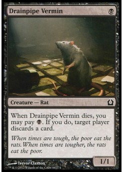 Drainpipe Vermin