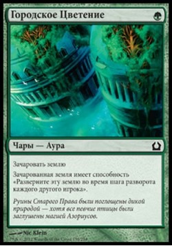 Городское Цветение