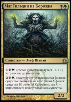 Маг Гильдии из Корозды
