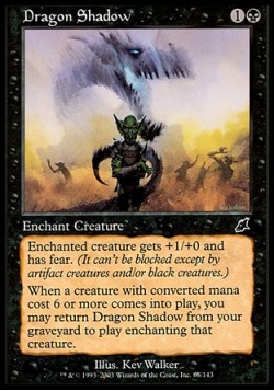 Dragon Shadow