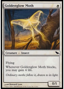 Goldenglow Moth