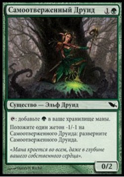 Самоотверженный Друид
