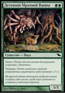 Детеныш Мрачной Вдовы