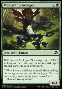 Moldgraf Scavenger