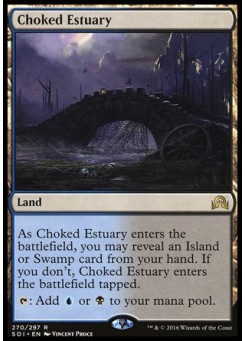 Choked Estuary