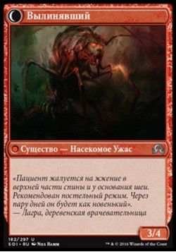 Вылинявший