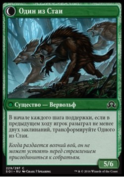 Один из Стаи