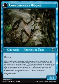 Совершенная Форма