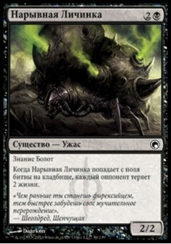 Нарывная Личинка