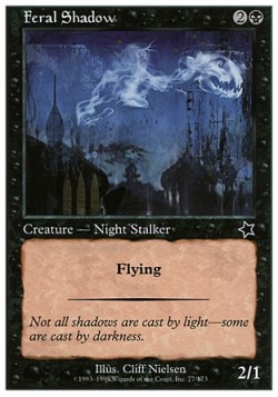 Feral Shadow