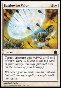 Battlewise Valor