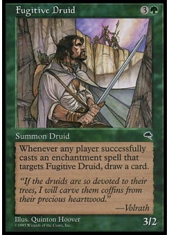 Fugitive Druid