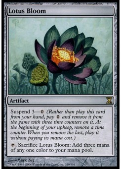 Lotus Bloom