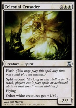 Celestial Crusader