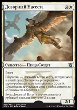 Дозорный Насеста