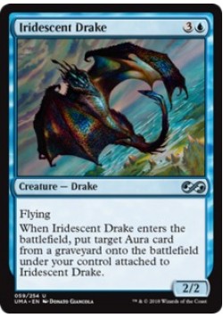 Iridescent Drake