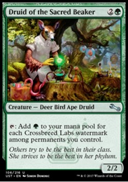 Druid of the Sacred Beaker