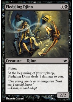 Fledgling Djinn