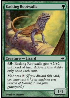 Basking Rootwalla