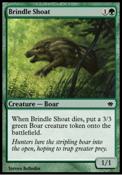 Brindle Shoat