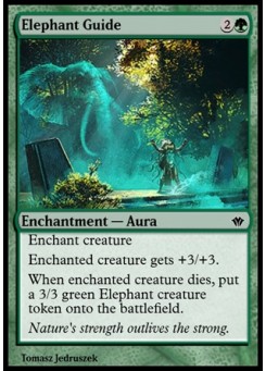 Elephant Guide