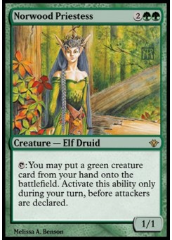 Norwood Priestess
