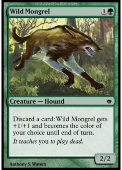 Wild Mongrel